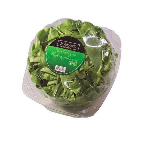 LECHUGA LISA PET 130G KOSHER
